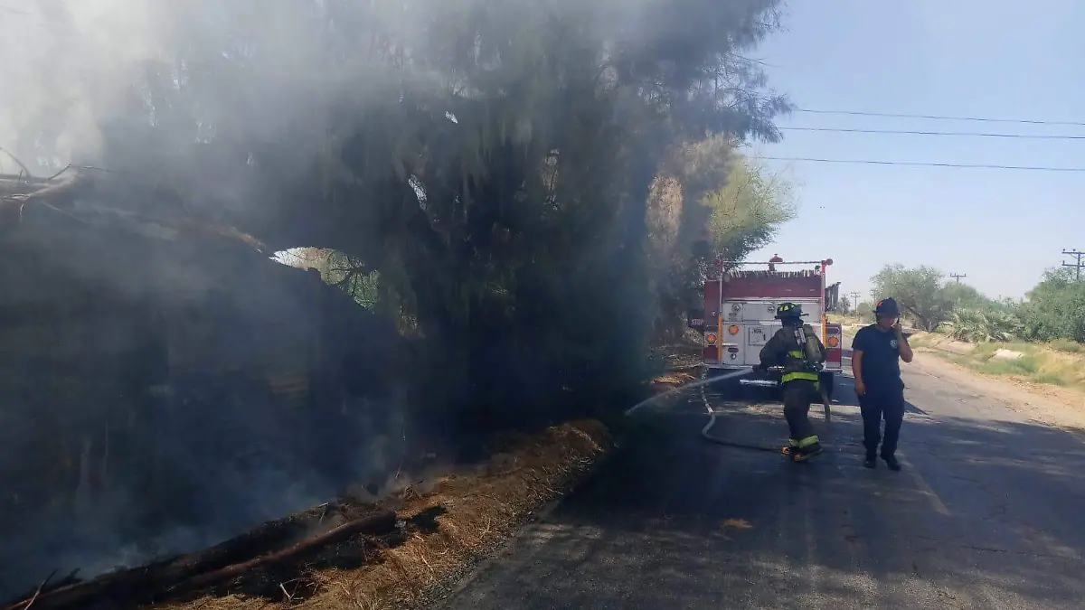 Los Bomberos Voluntarios esa mañana, apagaron fuerte incendio de árboles y ramas en un predio